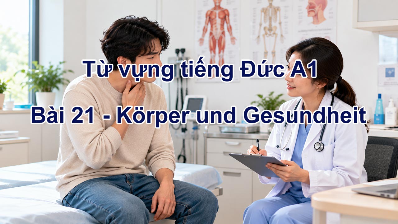 Từ vựng tiếng Đức A1 bài 21 - Körper und Gesundheit